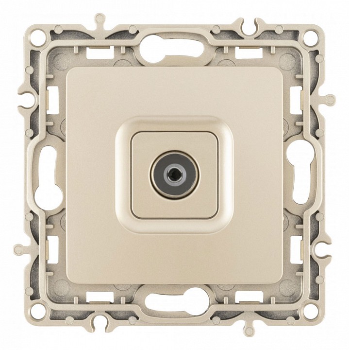 ТВ-розетка без рамки Arte Milano am-217 217.43-1.shampan в интернет-магазине "Галерея света"