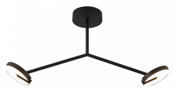 Светильник на штанге Favourite Paritet 4401-2C в интернет-магазине "Галерея света"