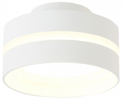 Накладной светильник Ambrella Light TN TN5419 в интернет-магазине "Галерея света"