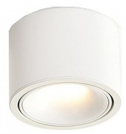 Накладной светильник Wertmark WTA.O06 WTA.O06.007.40.12 в интернет-магазине "Галерея света"