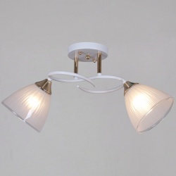 Светильник на штанге  04360-0.3-02 WH+FG в интернет-магазине "Галерея света"