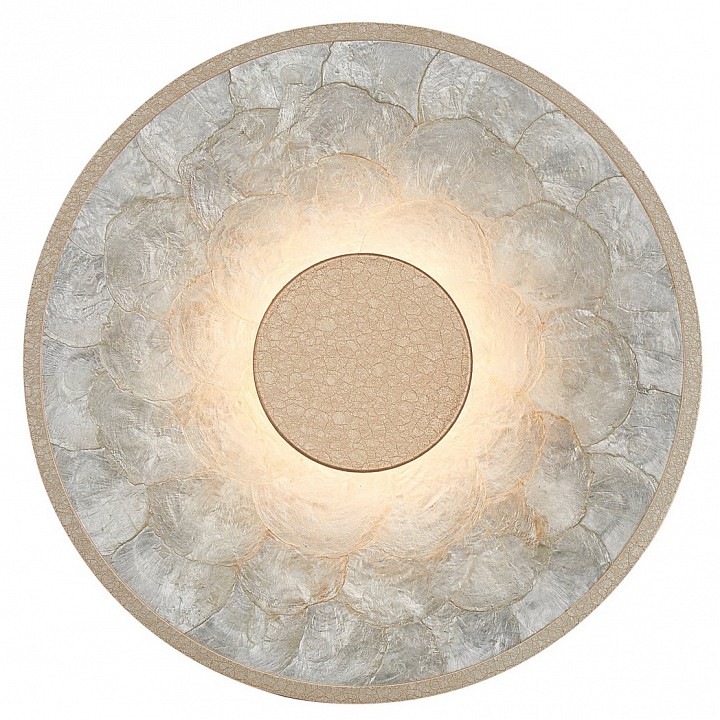 Накладной светильник Favourite Solarius 4858-1W в интернет-магазине "Галерея света"