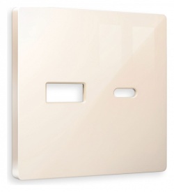 Накладка для розетки type A и C Ambrella Volt ALFA AP3110 в интернет-магазине "Галерея света"