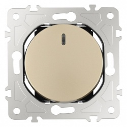 Выключатель одноклавишный с подсветкой без рамки Arte Milano 202 202.31-1.shampan в интернет-магазине "Галерея света"
