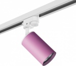 Светильник на штанге Lightstar Rullo R1T432 в интернет-магазине "Галерея света"