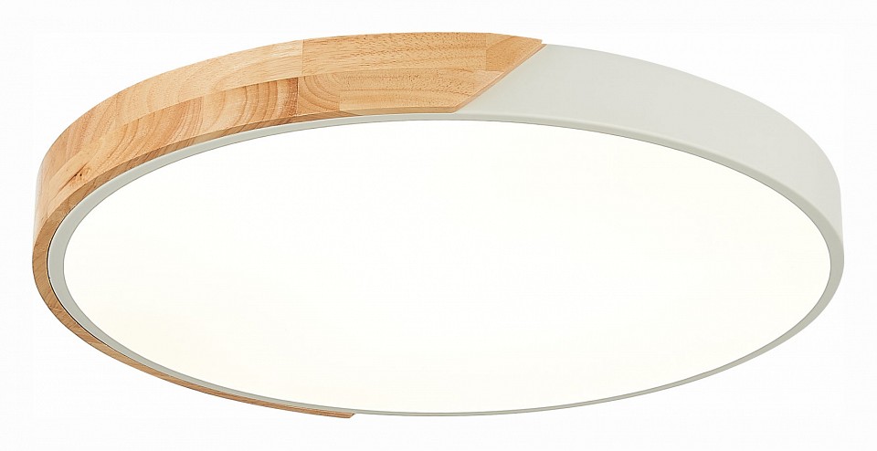 Накладной светильник EVOLUCE Festa SLE200952-01 в интернет-магазине "Галерея света"