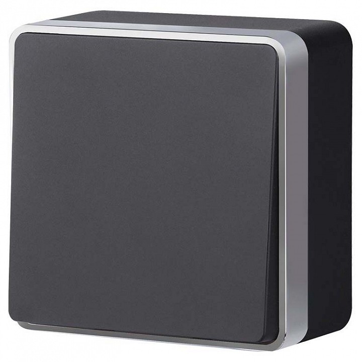 Выключатель одноклавишный Werkel Gallant (черный с серебром) W5010034 в интернет-магазине "Галерея света"