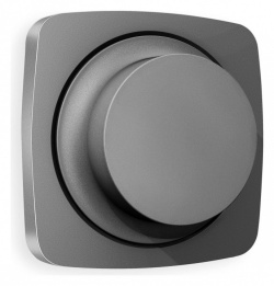 Накладка для диммера Ambrella Volt OMEGA OP6555 в интернет-магазине "Галерея света"