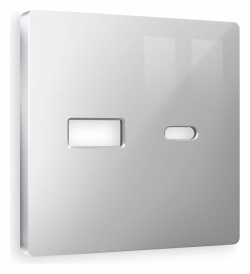 Накладка для розетки type A и C Ambrella Volt ALFA AP4110 в интернет-магазине "Галерея света"