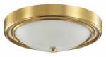 Накладной светильник Lumion Nina 5259/2C в интернет-магазине "Галерея света"