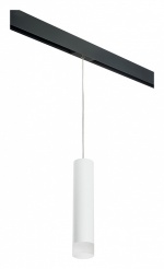 Подвесной светильник Lightstar Rullo PRORP49631 в интернет-магазине "Галерея света"