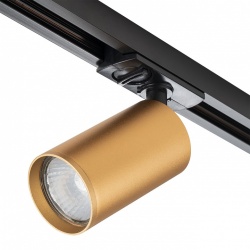 Светильник на штанге Escada 20001 20001TRA/01 BR в интернет-магазине "Галерея света"