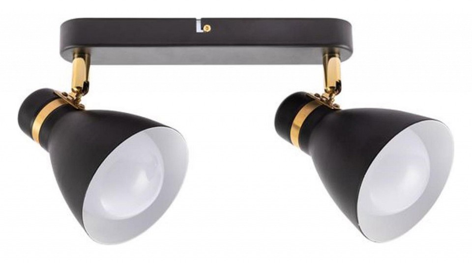 Спот Arte Lamp Fafnir A5047PL-2BK в интернет-магазине "Галерея света"