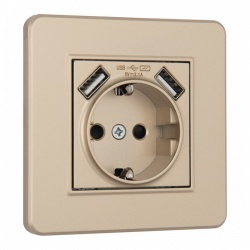 Розетка с заземлением и со шторкой и 2хUSB Arte Milano SET16-1 SET16-1-47-1 shampan в интернет-магазине "Галерея света"
