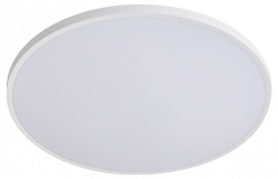 Накладной светильник Lightstar Arco Eco 225720 в интернет-магазине "Галерея света"