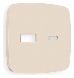 Накладка для розетки type A и C Ambrella Volt OMEGA OP3310 в интернет-магазине "Галерея света"