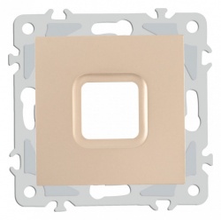 Розетка для вывод кабеля без рамки Arte Milano am-206 206.49-1.shampan в интернет-магазине "Галерея света"