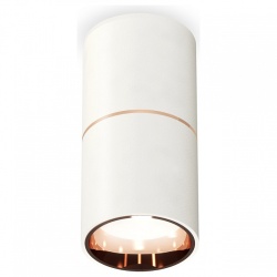 Накладной светильник Ambrella Light XS XS6301083 в интернет-магазине "Галерея света"