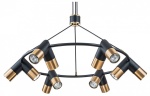 Подвесная люстра Indigo Doppio 11036/12P Black в интернет-магазине "Галерея света"