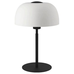 Настольная лампа декоративная Eglo Solo 2 900142 в интернет-магазине "Галерея света"