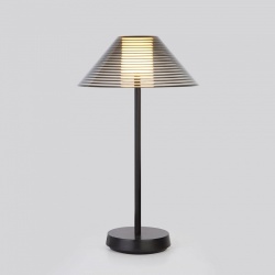 Настольная лампа декоративная Elektrostandard Mistery a062381 в интернет-магазине "Галерея света"