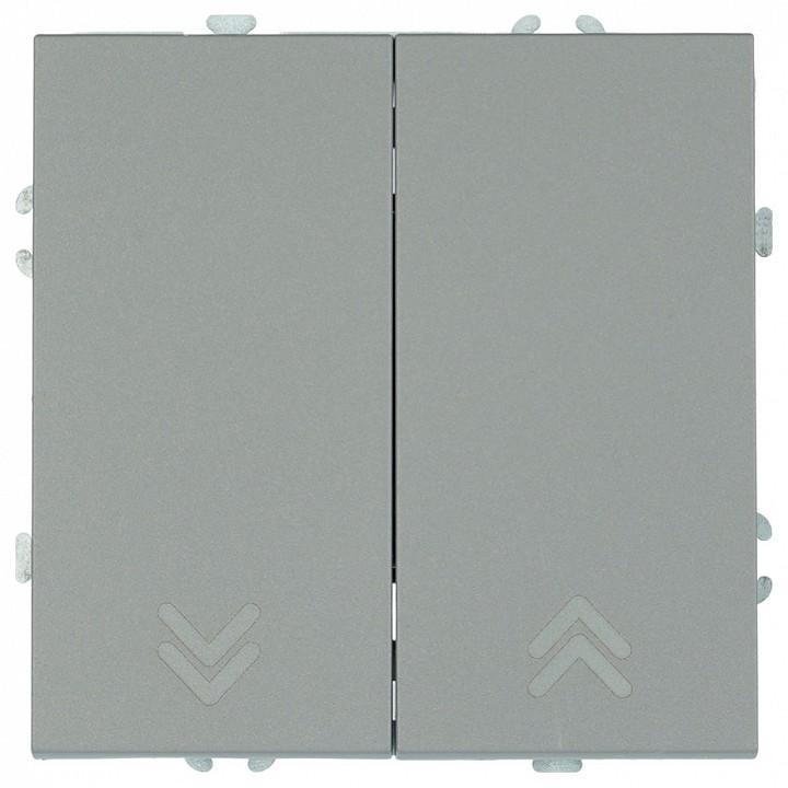 Выключатель самовозвратный двухклавишный без рамки Stekker Эмили 50329 в интернет-магазине "Галерея света"