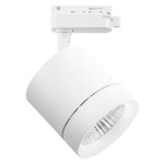 Светильник на штанге Lightstar Canno 301264 в интернет-магазине "Галерея света"