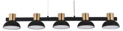 Подвесной светильник Indigo Traforo 11059/5PL Black в интернет-магазине "Галерея света"