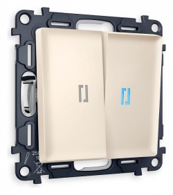 Выключатель проходной двухклавишный с подсветкой Ambrella Volt ALFA MA324040 в интернет-магазине "Галерея света"