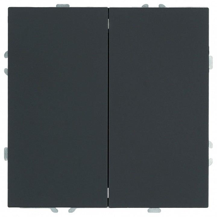 Переключатель двухклавишный без рамки Stekker Эмили 50249 в интернет-магазине "Галерея света"