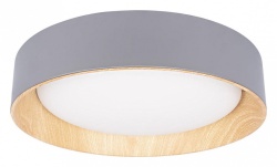 Накладной светильник Loft it Coin 10202 Grey в интернет-магазине "Галерея света"