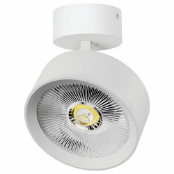 Спот Lightstar Alta Pro A5746SO в интернет-магазине "Галерея света"
