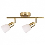 Спот Escada Fabius 5039/2PA в интернет-магазине "Галерея света"