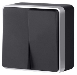 Выключатель двухклавишный Werkel Gallant (черный с серебром) W5020034 в интернет-магазине "Галерея света"