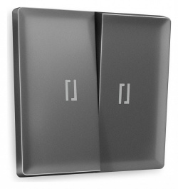 Клавиши для выключателя двухклавишного c подсветкой Ambrella Volt ALFA AP6540 в интернет-магазине "Галерея света"