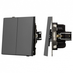 Выключатель проходной двухклавишный без рамки Arlight SWT 054555 в интернет-магазине "Галерея света"