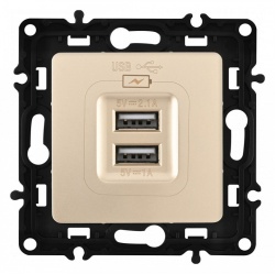 Розетка USB, без рамки Arte Milano am-217 217.46-1.shampan в интернет-магазине "Галерея света"