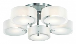 Потолочная люстра EVOLUCE Foresta SL483.502.05 в интернет-магазине "Галерея света"