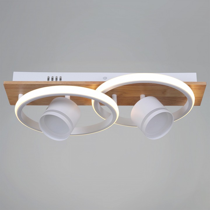 Накладной светильник 29560-0.3-2+2 WH+WOOD в интернет-магазине "Галерея света"