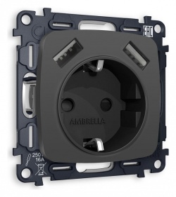 Розетка с заземлением и 2хUSB type A, без рамки Ambrella Volt OMEGA MO909010 в интернет-магазине "Галерея света"
