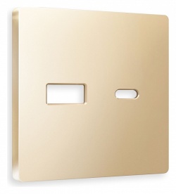 Накладка для розетки type A и C Ambrella Volt ALFA AP6110 в интернет-магазине "Галерея света"