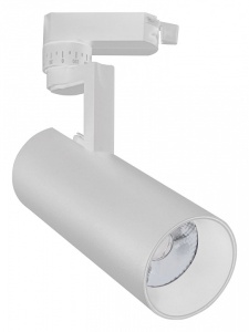 Светильник на штанге Escada 20029 20029TRA/02LED SWH в интернет-магазине "Галерея света"