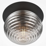 Накладной светильник Maytoni Reels MOD268CL-01B в интернет-магазине "Галерея света"