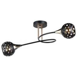 Светильник на штанге Imex MD.19074 MD.19074-2-S-BK+FGD в интернет-магазине "Галерея света"