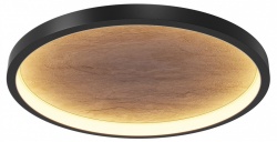 Накладной светильник Maytoni Orign MOD311CL-L40B3K в интернет-магазине "Галерея света"