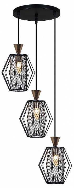 Подвесной светильник 00903-0.9-03 BK в интернет-магазине "Галерея света"