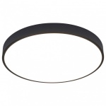 Накладной светильник Arte Lamp Arena A2672PL-1BK в интернет-магазине "Галерея света"