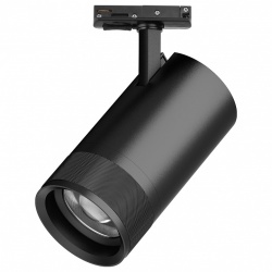 Светильник на штанге Lightstar Canno Pro C4407SS в интернет-магазине "Галерея света"