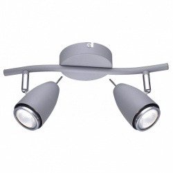 Спот Arte Lamp Regista A1966AP-2GY в интернет-магазине "Галерея света"