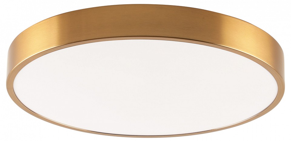 Накладной светильник Zortes Tortty ZRS.02566.72 в интернет-магазине "Галерея света"